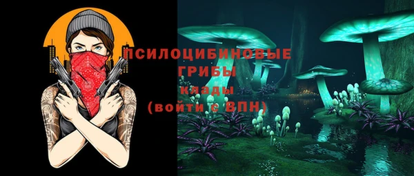 МДПВ Осташков